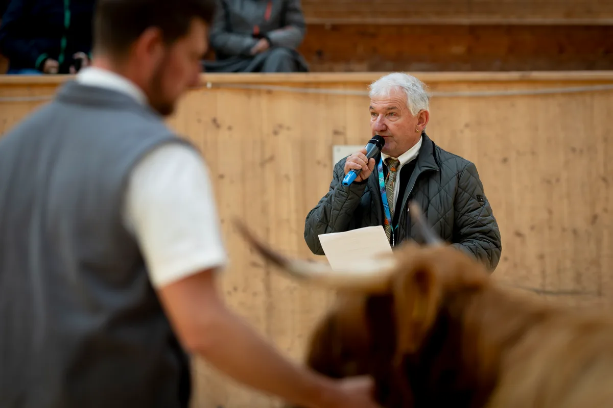 Man sieht einen Mann mit einem Hochlandrind und dahinter moderiert ein Mann mit einem Mikrofon.